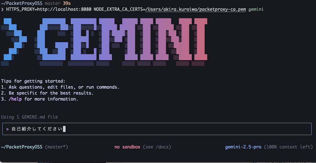 Gemini CLIに自己紹介してくださいと入力する