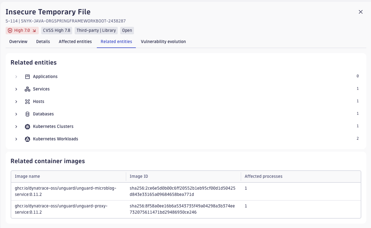 Dynatrace Vulnerabilities Related entities