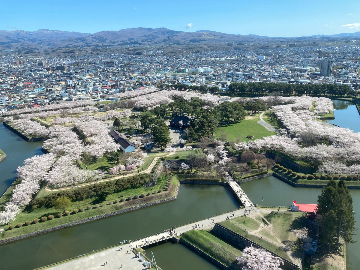 五稜郭タワーからの眺望