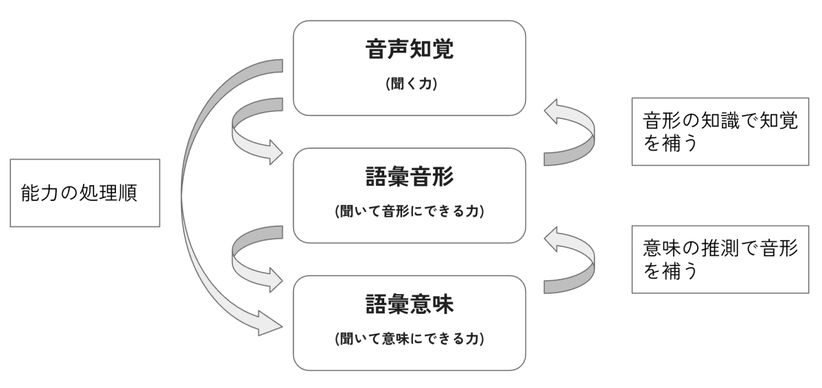 英語リスニングの技能とその相互作用