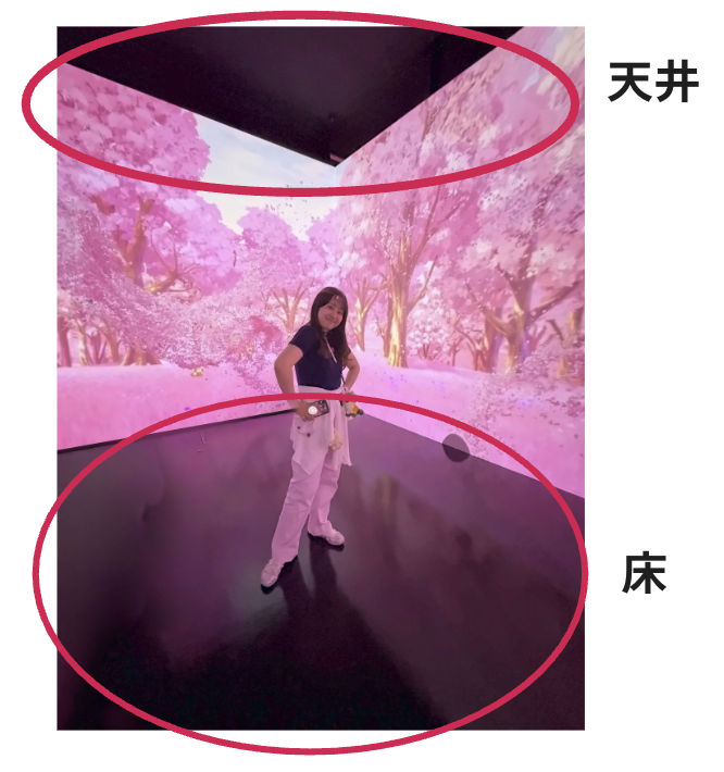 写真には天井や床などの映像の外側も一緒に写る